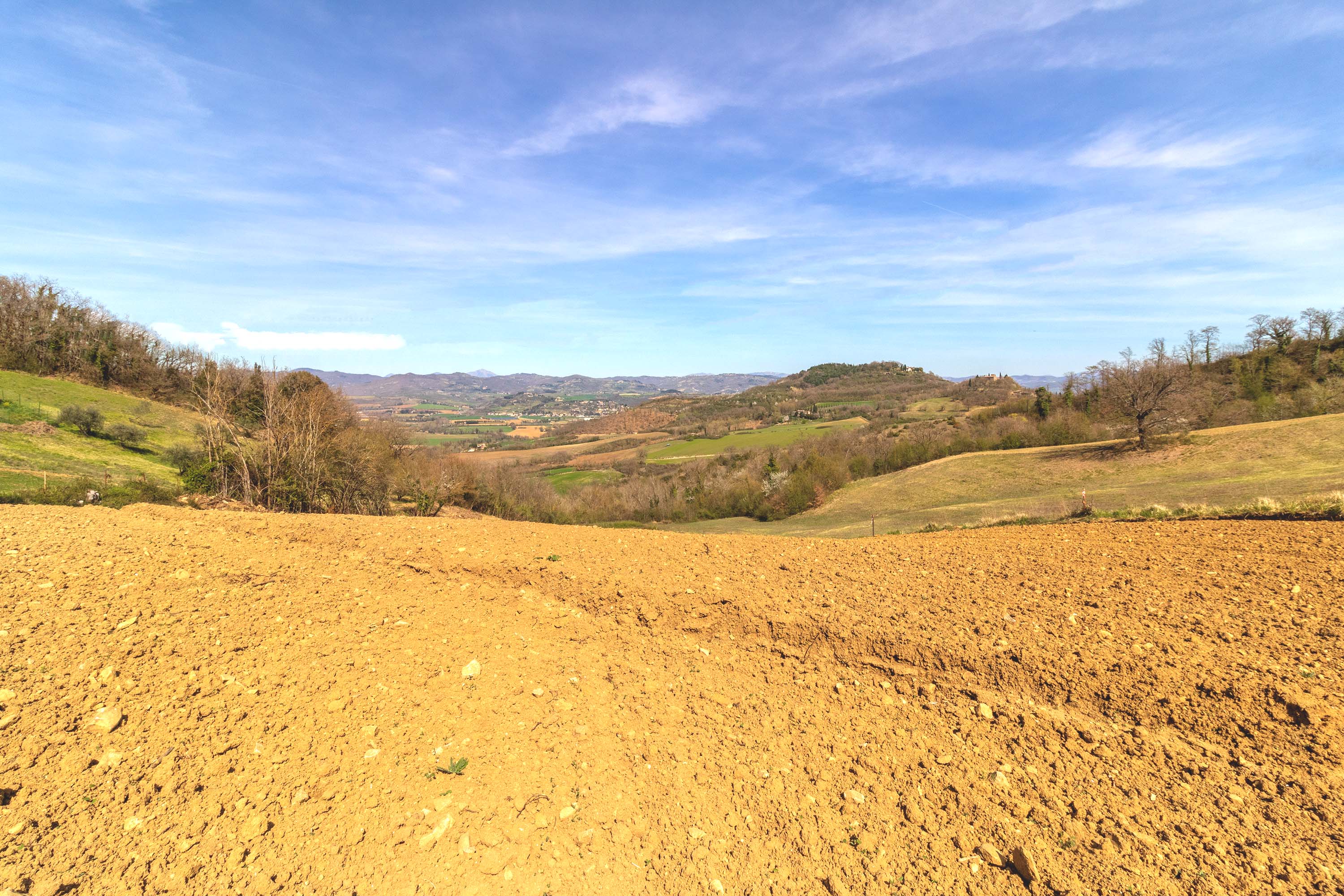 gattacicova agricoltura e terreni